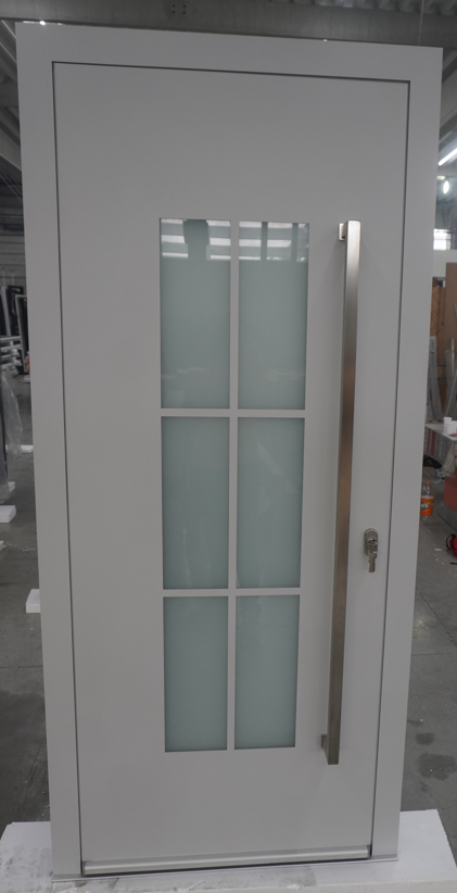 WH 25323- LA290 ALU110 FB Aluminium 100% Haustür